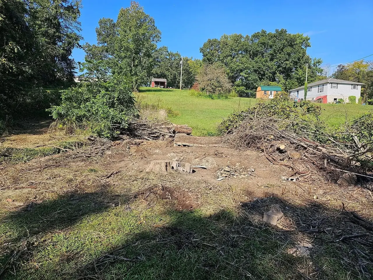 Lot clearing on a Henderson County property.