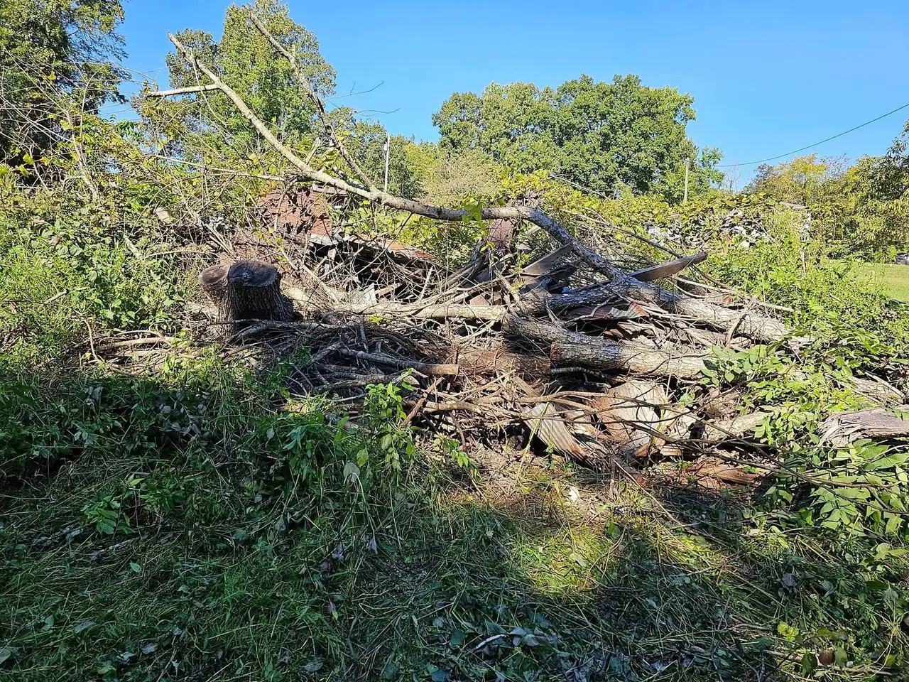 Storm debris and cut limbs, before hauling.
